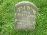 image number Sawer Annie 455